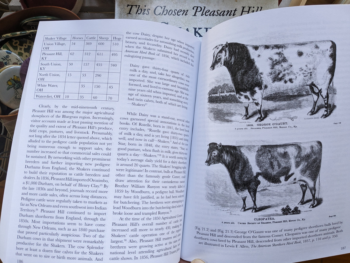 This Chosen Pleasant Hill: Shakers of the Kentucky Bluegrass