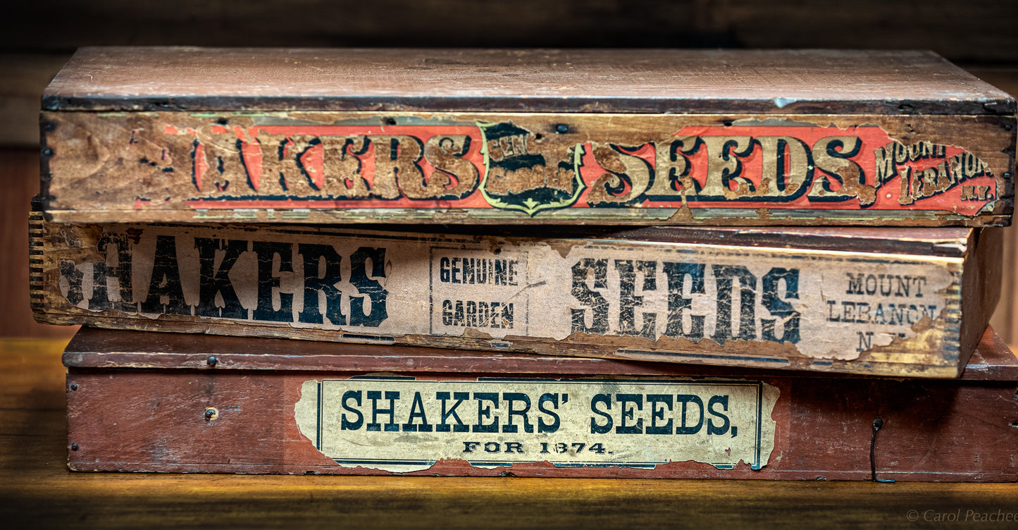 Shaker Luster Photographs