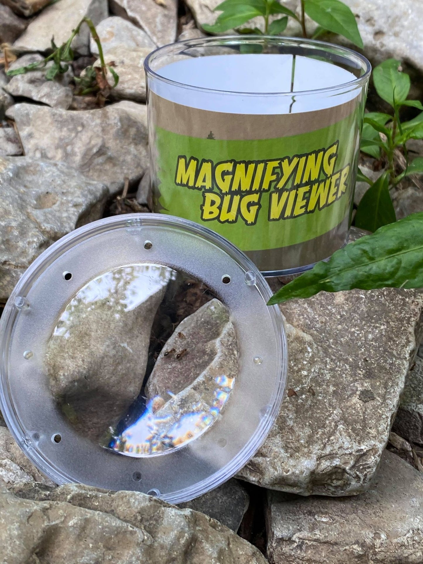 Magnifying Bug Viewer