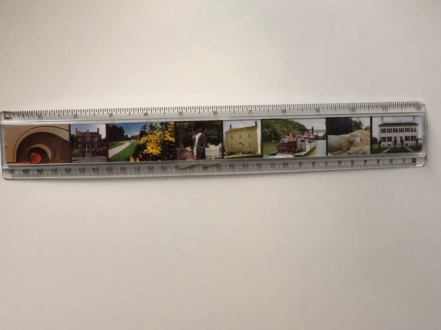 SVPH Ruler
