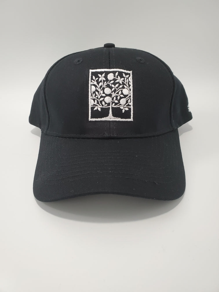 Baseball Cap: Black