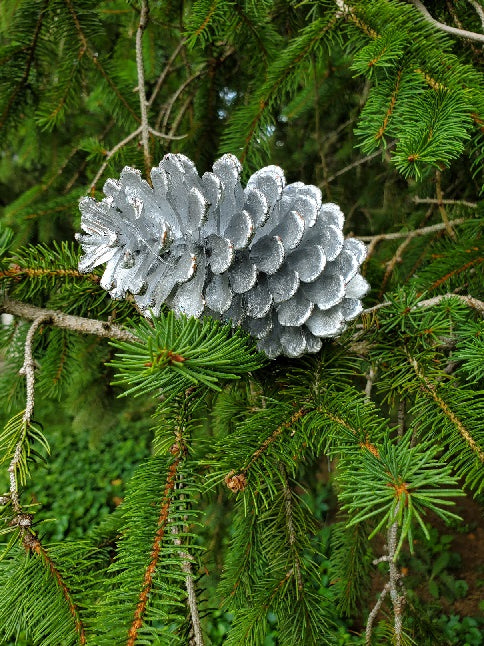 A2 - Silver Glitter Pinecone