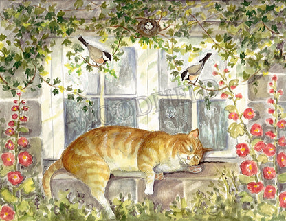 Animal Notecards