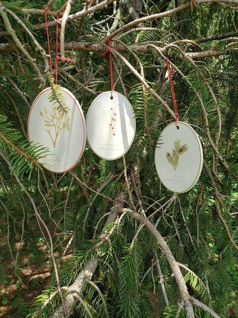 A2 - Herbal Ornament SET OF 3