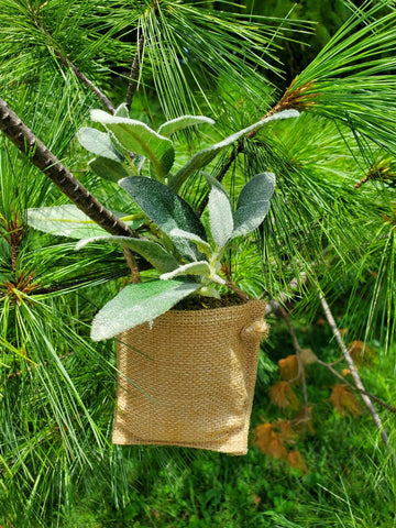 A2 - Herb Bag Ornament