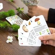 Forager's Playing Cards