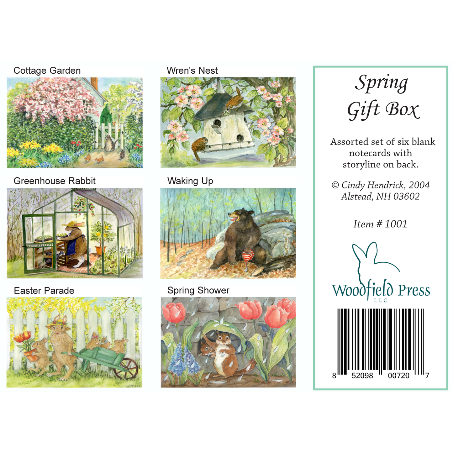 C5 - Spring Boxed Notecards